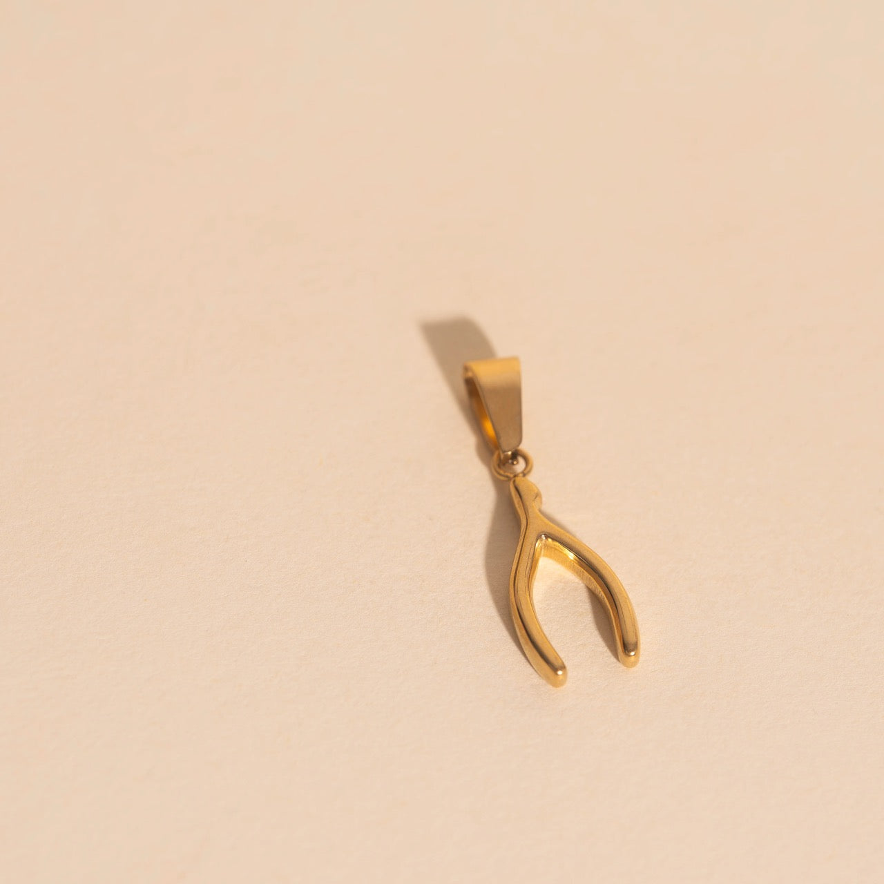 Wishbone Necklace Charm