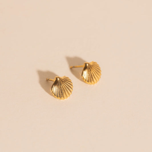 Mini Seashell Stud Earrings