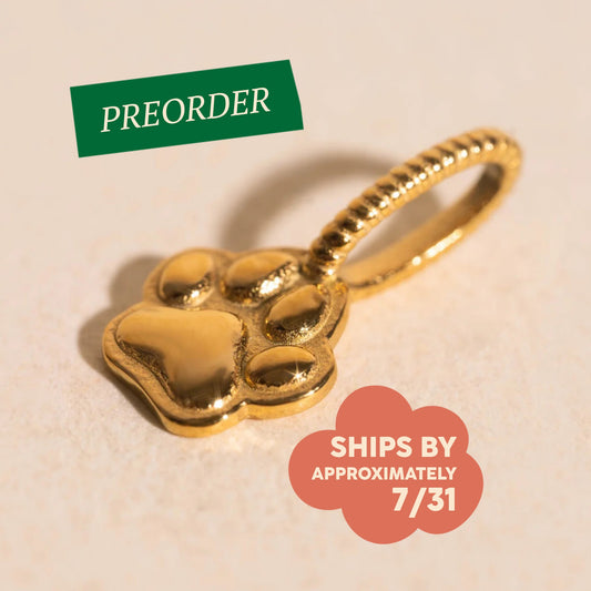 Mini Paw Necklace Charm