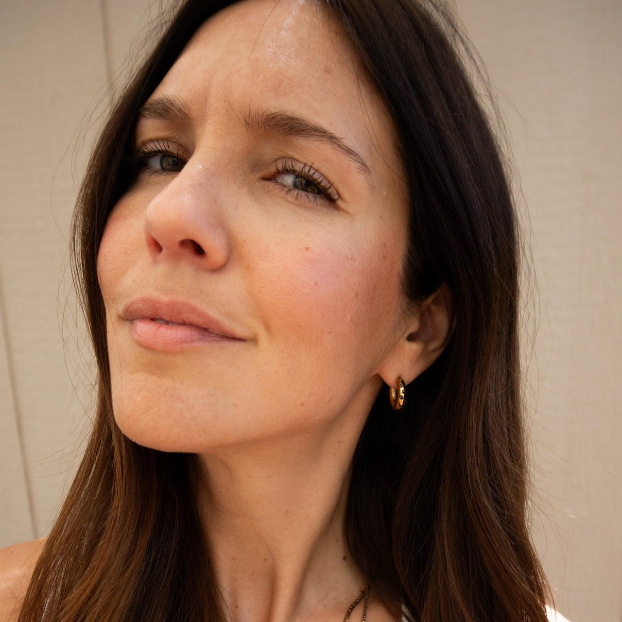 Paw Print Chunky Rounded Huggie Hoop Earrings