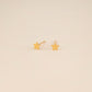 Mini Star Earrings