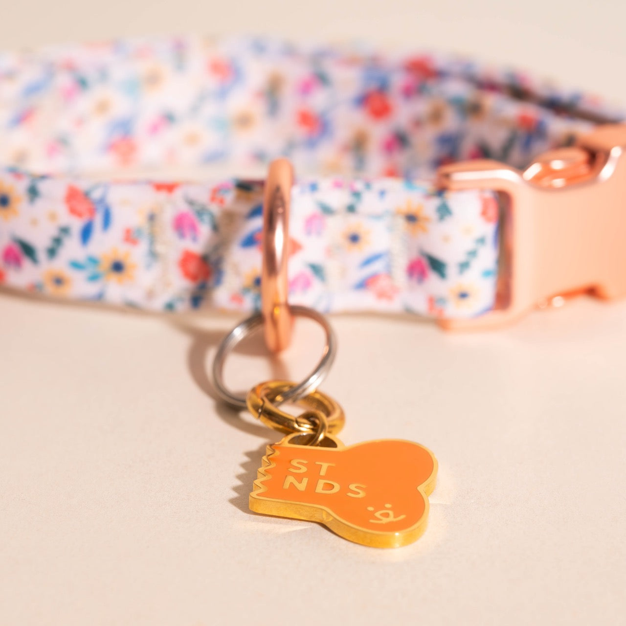 BF Dog Collar Necklace Charm