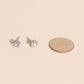 Autumn Bloom Mini Stud Earrings