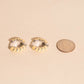 Color Chunky Rounded Huggie Hoop Earrings