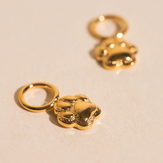 Paw Huggie Hoop Charms