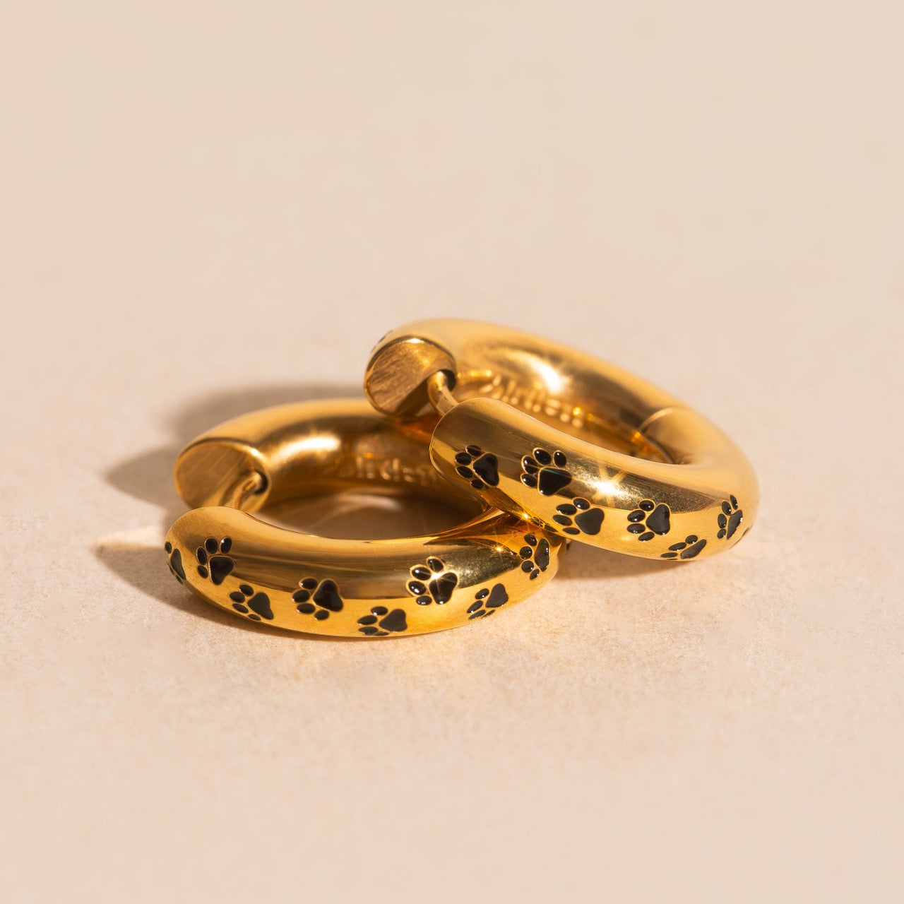 Paw Print Chunky Rounded Huggie Hoop Earrings