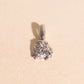 Lion Necklace Charm