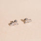 Lion Mini Stud Earrings