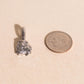 Lion Necklace Charm