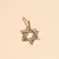 Star of David Necklace Charm