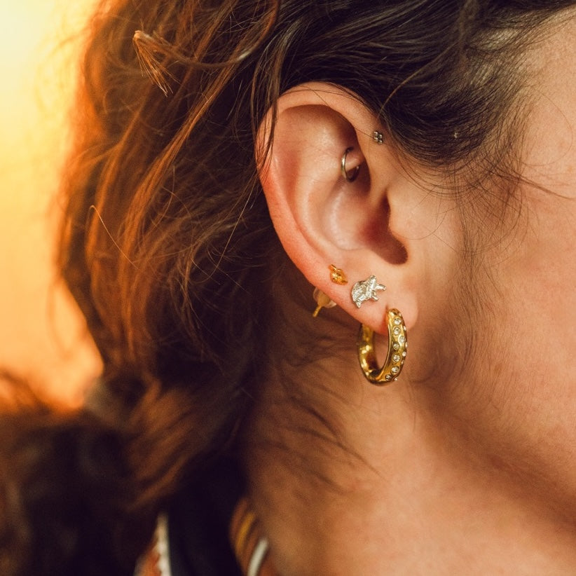 Turtle Stud Earrings