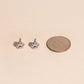 Paw Print Stud Earrings
