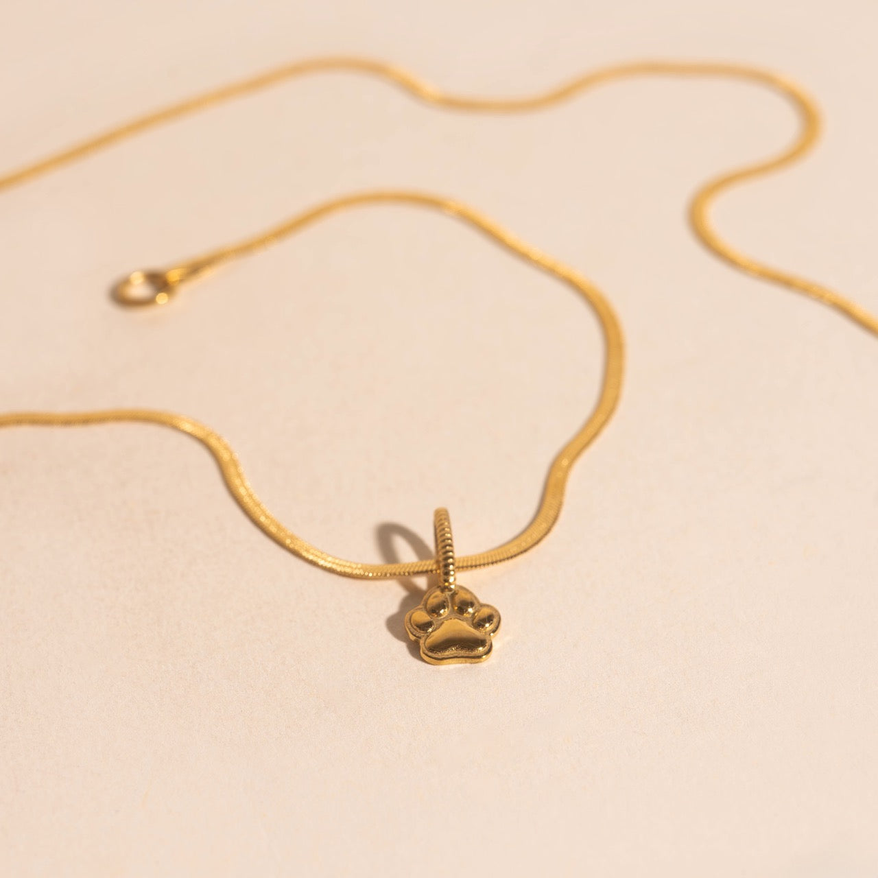 Mini Paw Necklace Charm