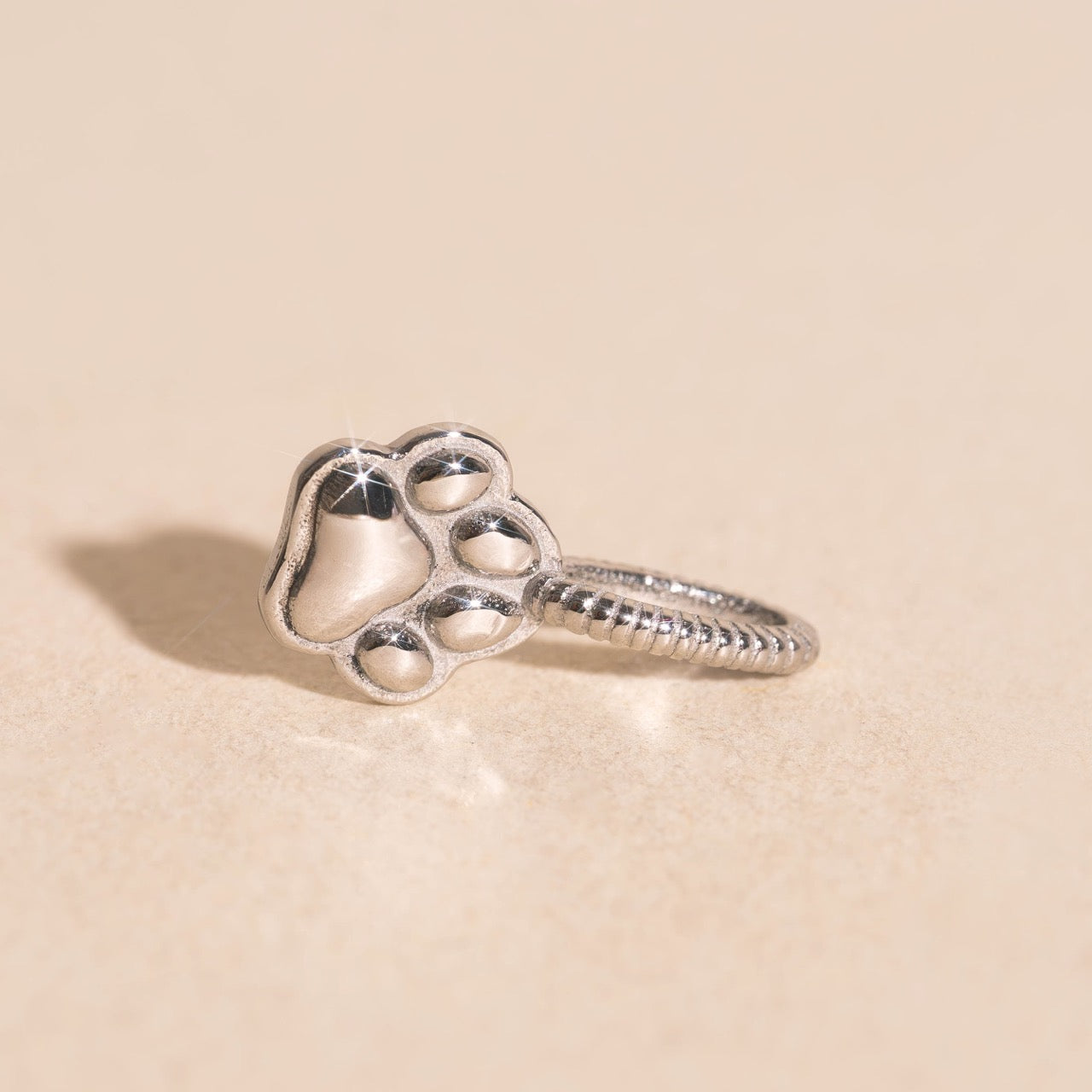 Mini Paw Necklace Charm