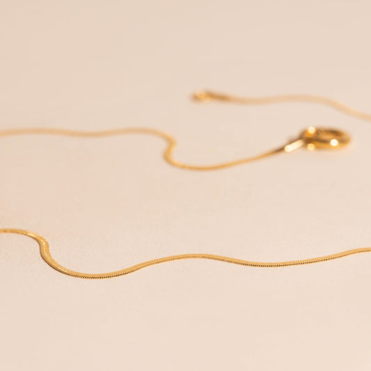 Baby Snake Necklace