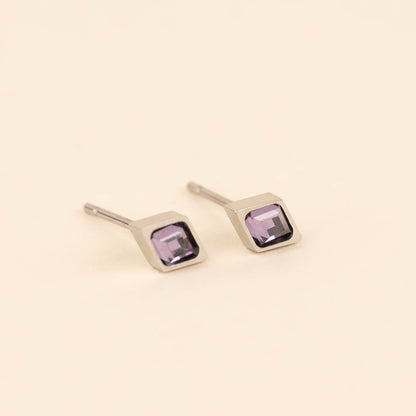 February Birthstone Stud Earrings