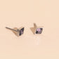 February Birthstone Stud Earrings