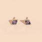 February Birthstone Stud Earrings