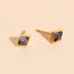February Birthstone Stud Earrings