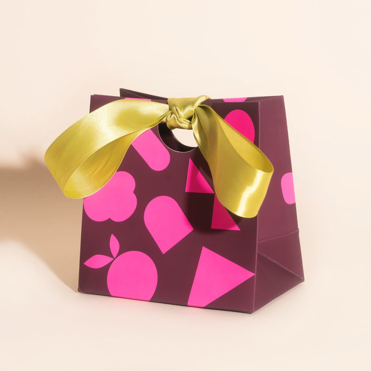 Cute Little Gift Bag