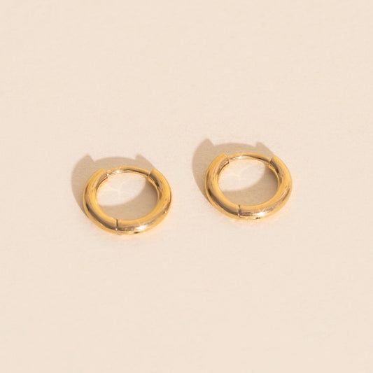 Titanium Mini Rounded Huggie Hoop Earrings