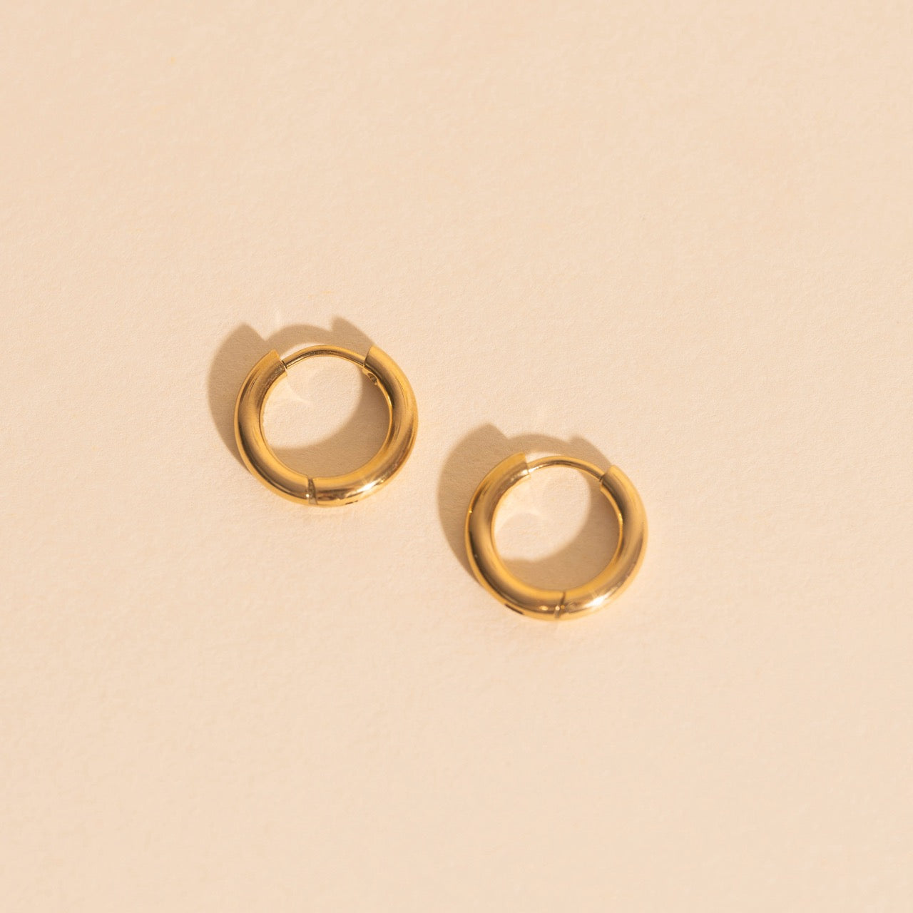 F136 Titanium hoepel oorbellen 14k vergulde kleine hoepel oorbellen Mini huggie oorbellen Voor Vrouwen hypoallergeen Titanium oorbellen F136 Titanium hoepel oorbellen 14k vergulde kleine hoepel oorbellen Mini huggie oorbellen Voor Vrouwen hypoallergeen Titanium oorbellen