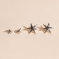 Starfire Stud Earrings