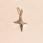 North Star Crystal Necklace Charm