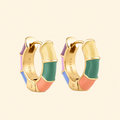 Color Block Huggie Hoop Earrings